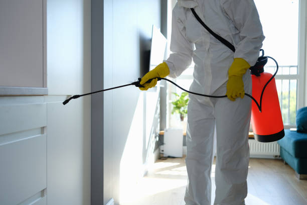 Best Commercial Mold Removal  in Shamokin, PA