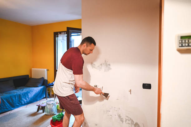 Best Professional Mold Removal  in Shamokin, PA